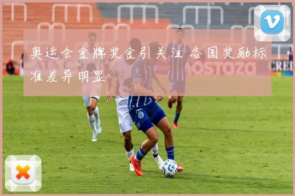 奥运会金牌奖金引关注 各国奖励标准差异明显