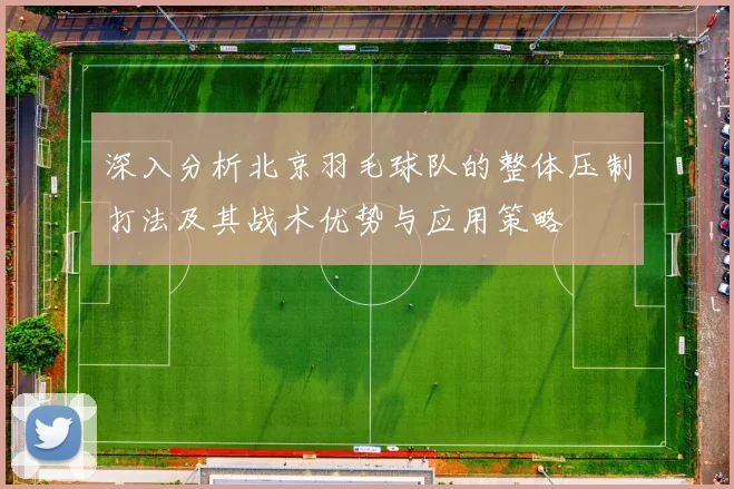 深入分析北京羽毛球队的整体压制打法及其战术优势与应用策略